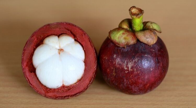 manfaat buah manggis untuk kesehatan tubuh