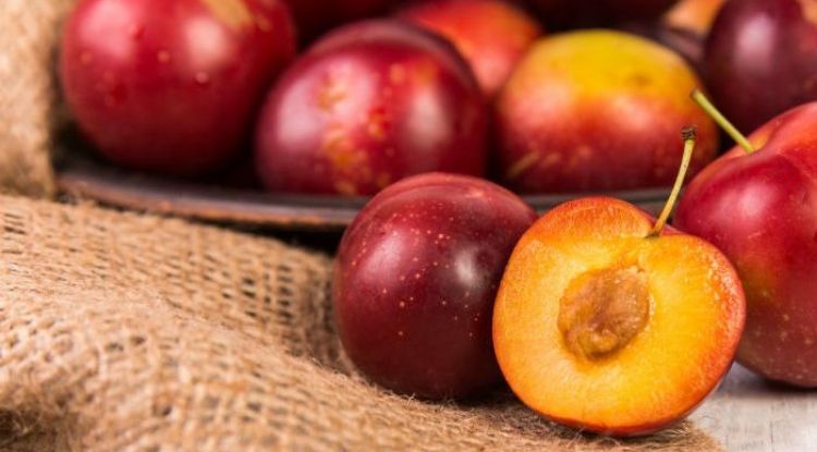 manfaat buah plum bagi tubuh