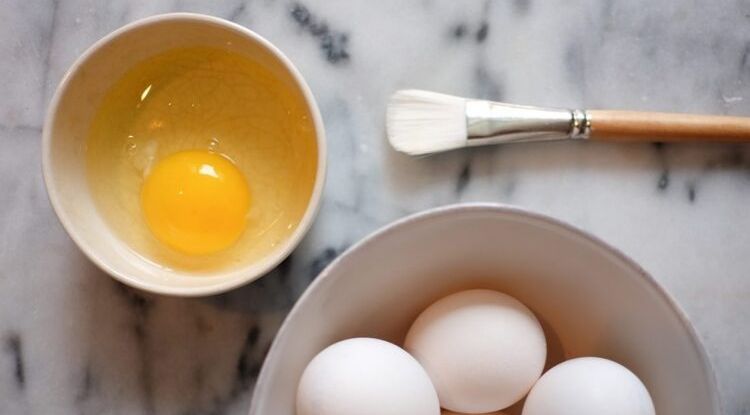 cara membuat masker putih telur