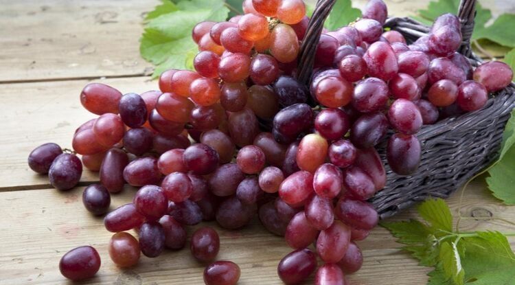 manfaat buah anggur bagi kesehatan tubuh