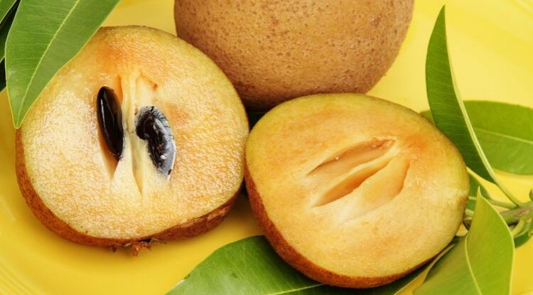 manfaat buah sawo bagi kesehatan tubuh